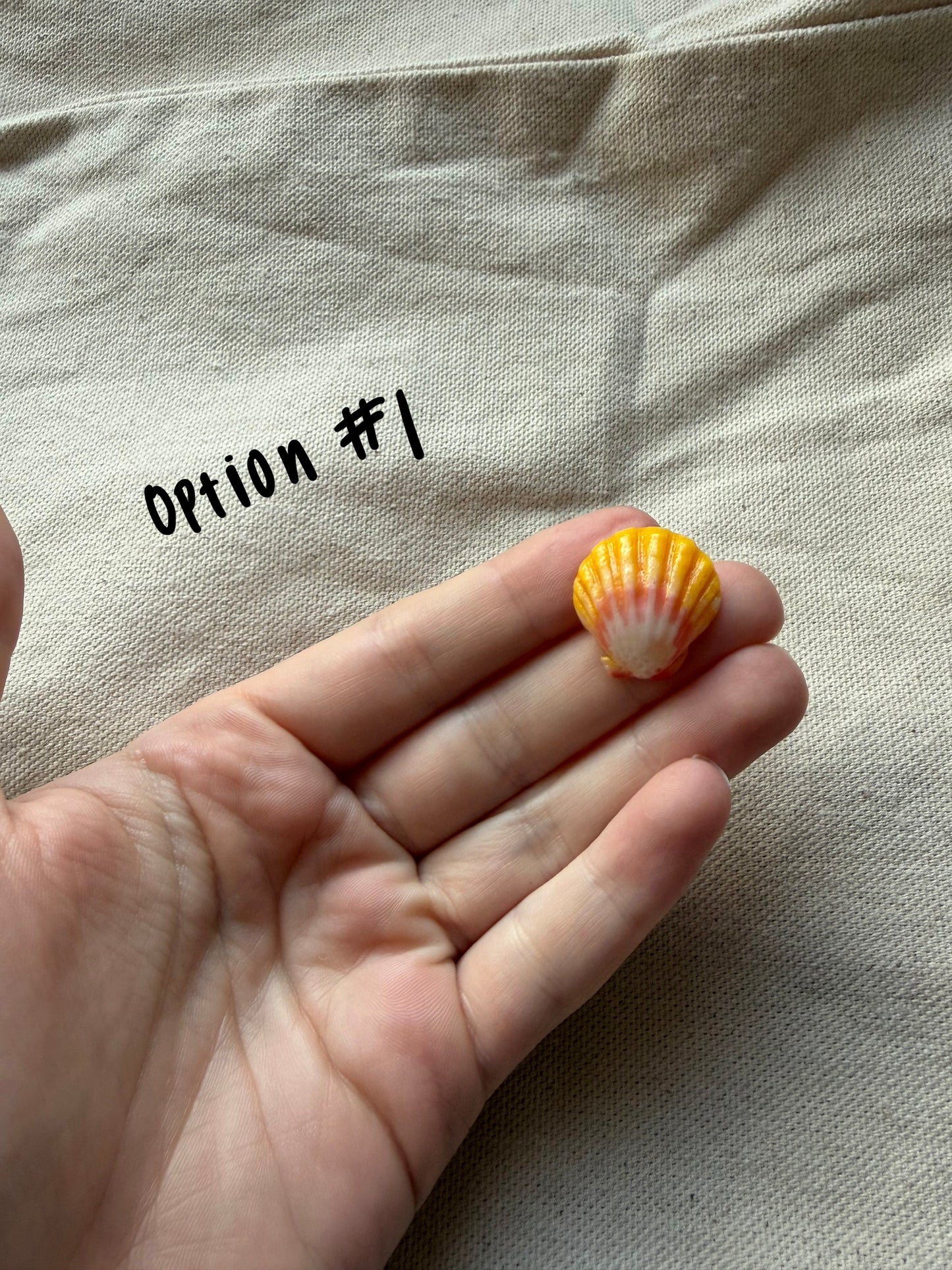 Sunrise Shell Gold Charm Necklace