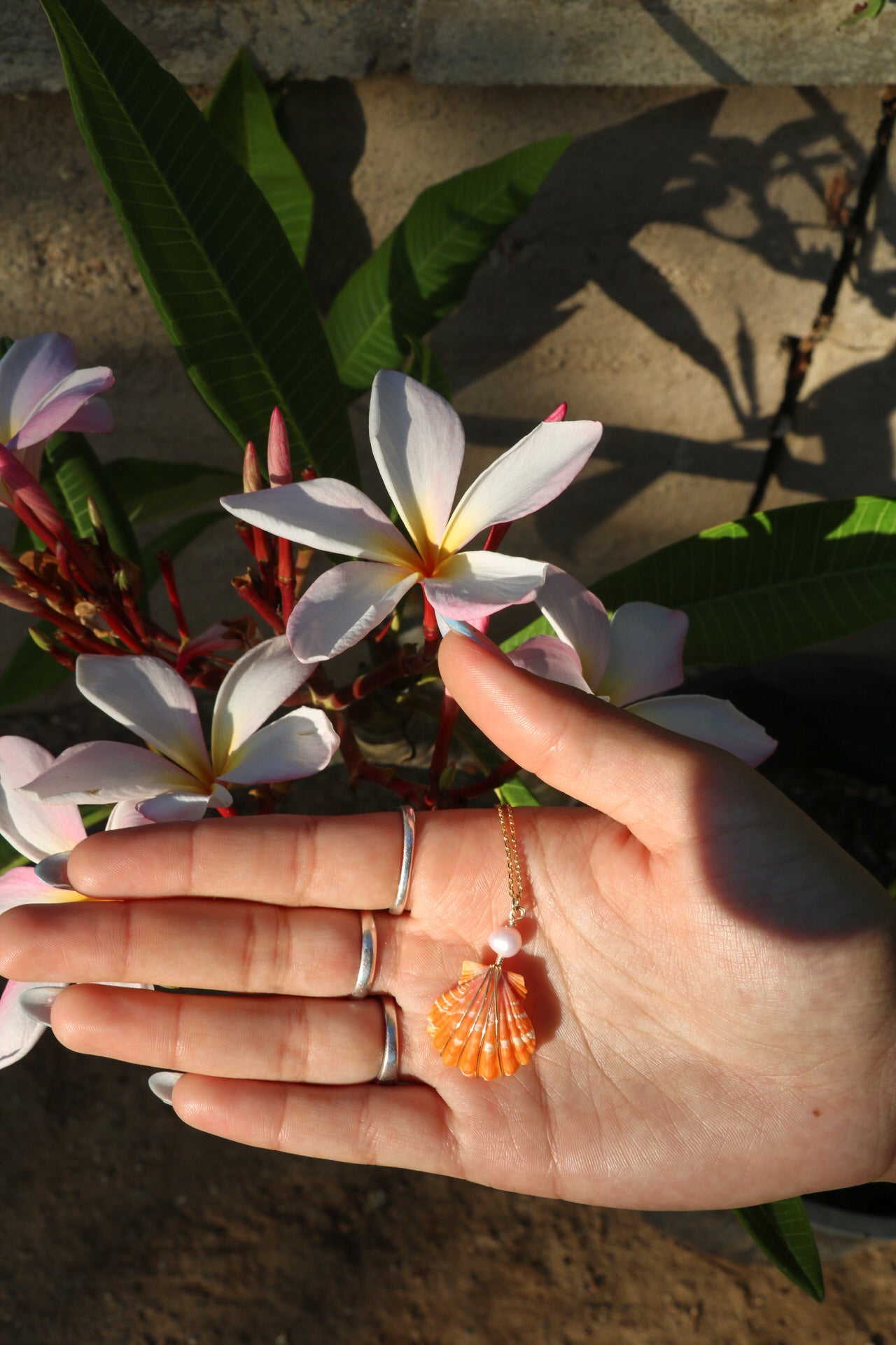 Gold Sunrise Shell Necklace #1