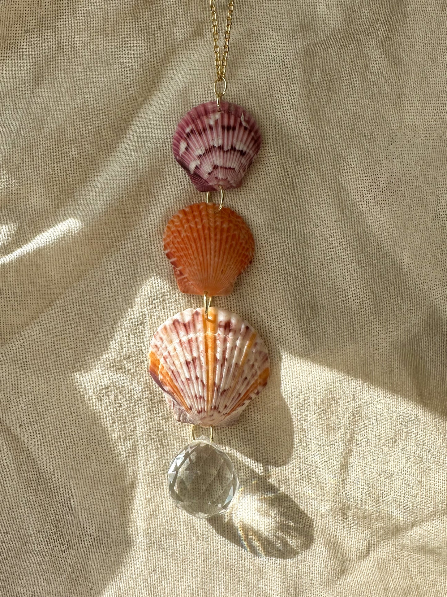 Multicolored Seashell Sun-catcher