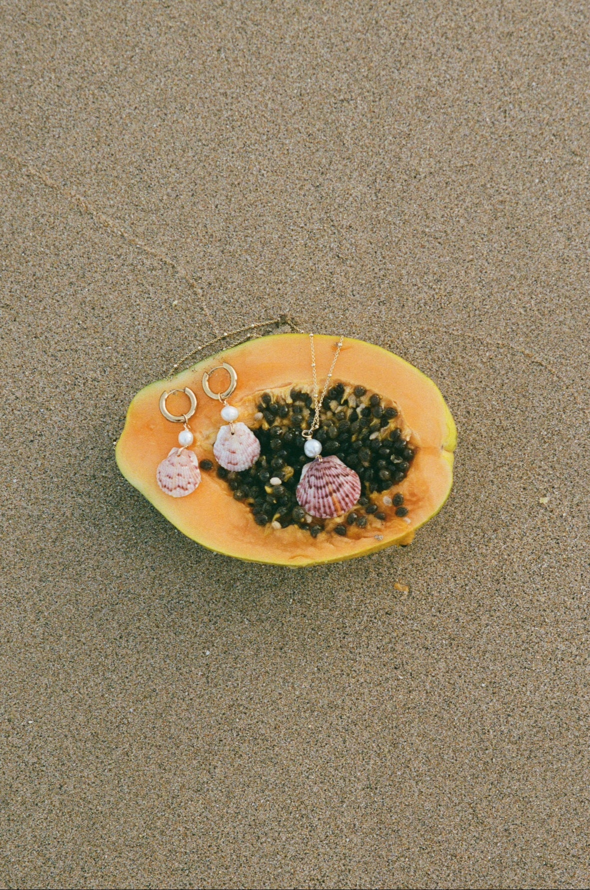 The Large Bahamas Calico Shell Necklace