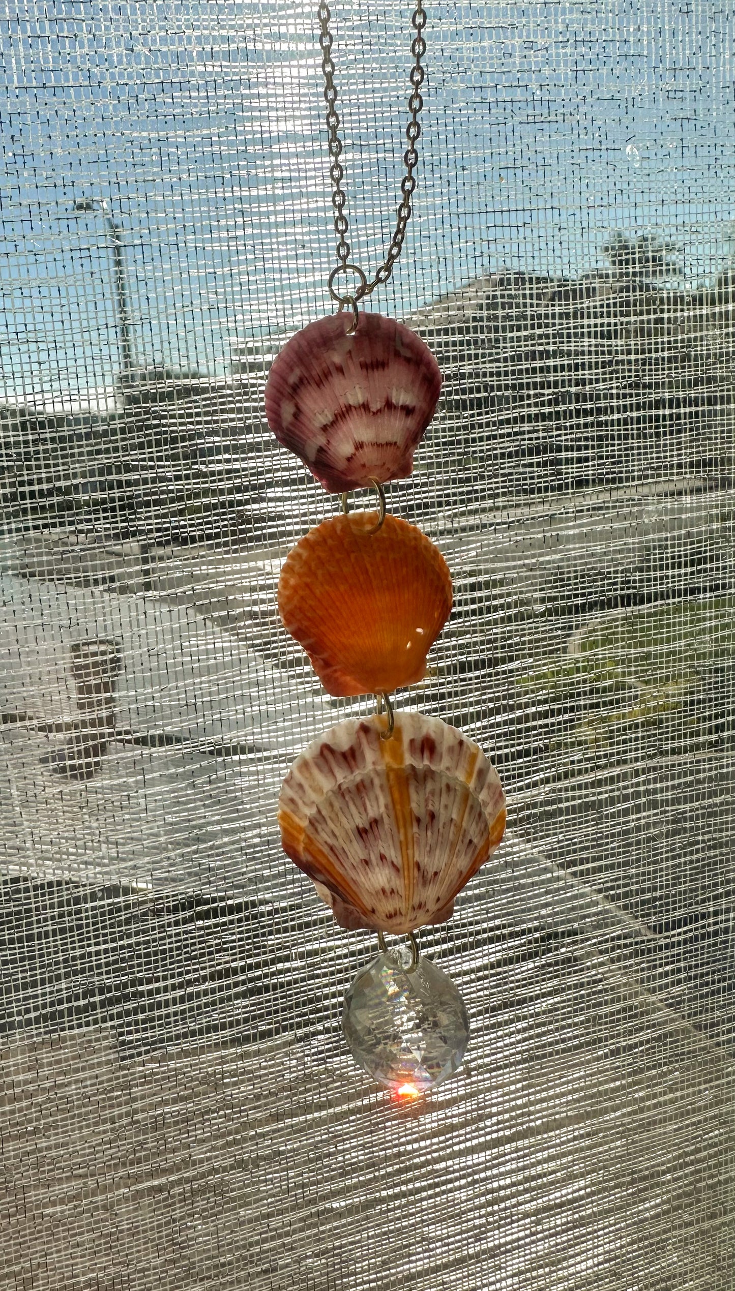 Multicolored Seashell Sun-catcher