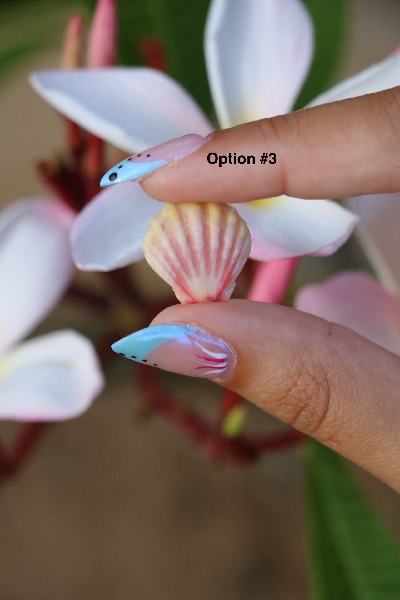 The Sunrise Shell Silver Charm Necklace