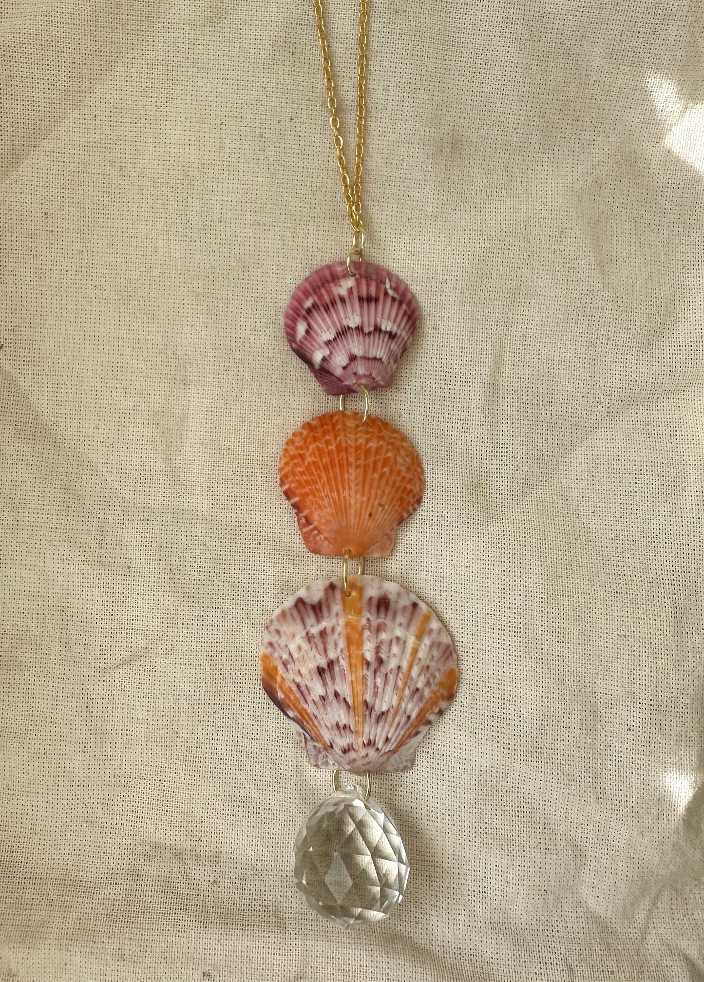 Multicolored Seashell Sun-catcher