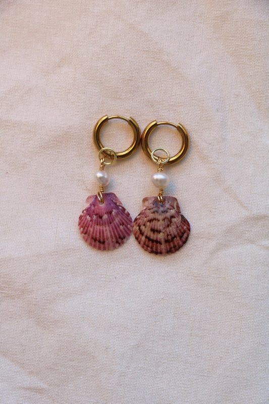 Calico Shell Gold Hoops
