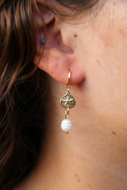 The Laie Sand Dollar Gold Hoops
