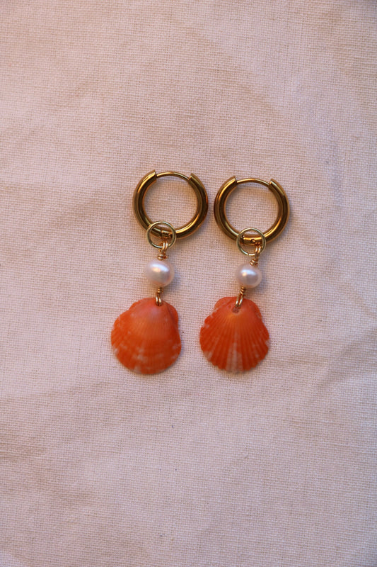 Orange Calico Shell Gold Hoops