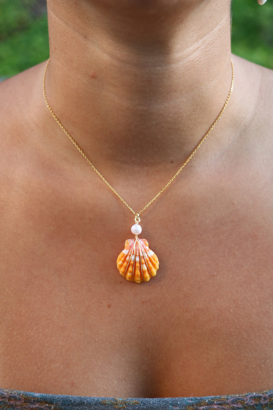 Gold Sunrise Shell Necklace #1