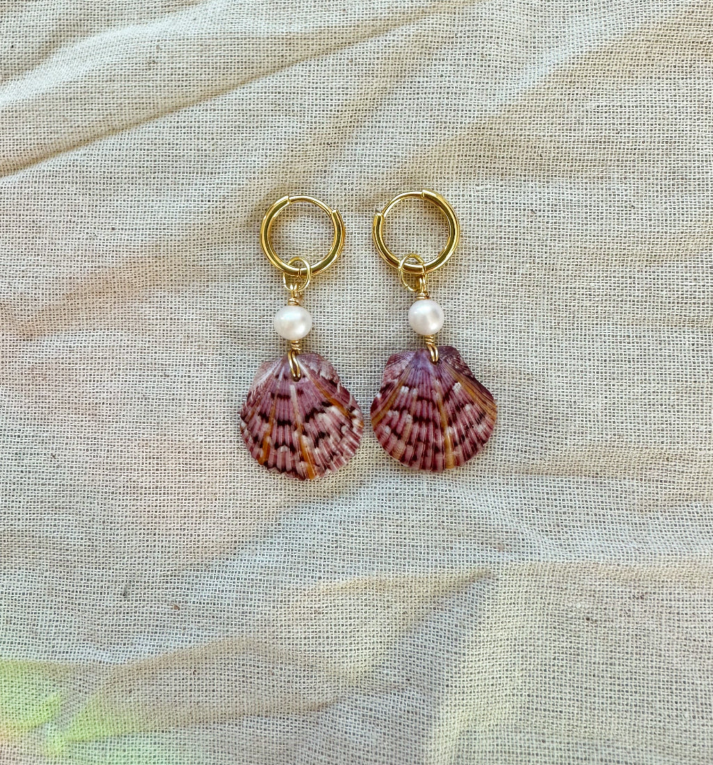 RARE FIND Sun Rays Calico Shell Hoops