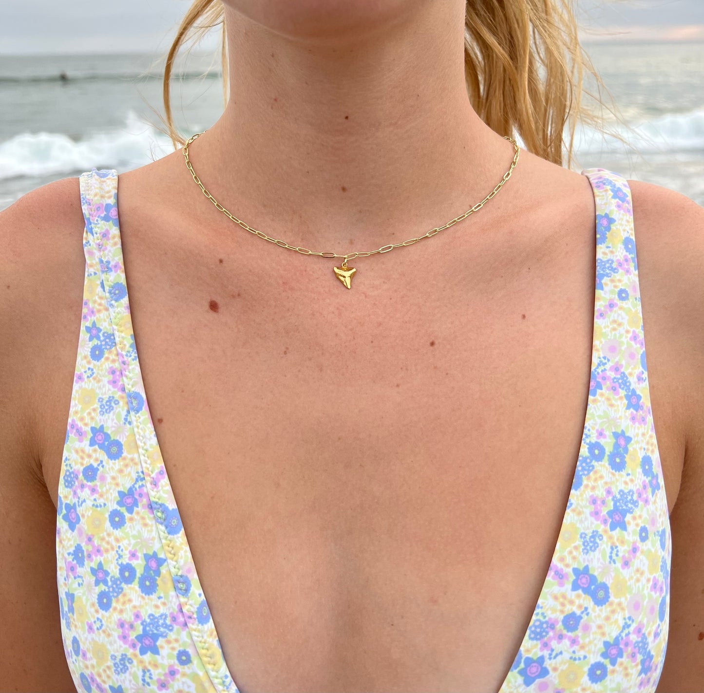 The Tiger Shark Tooth 18k Gold Plated Chain