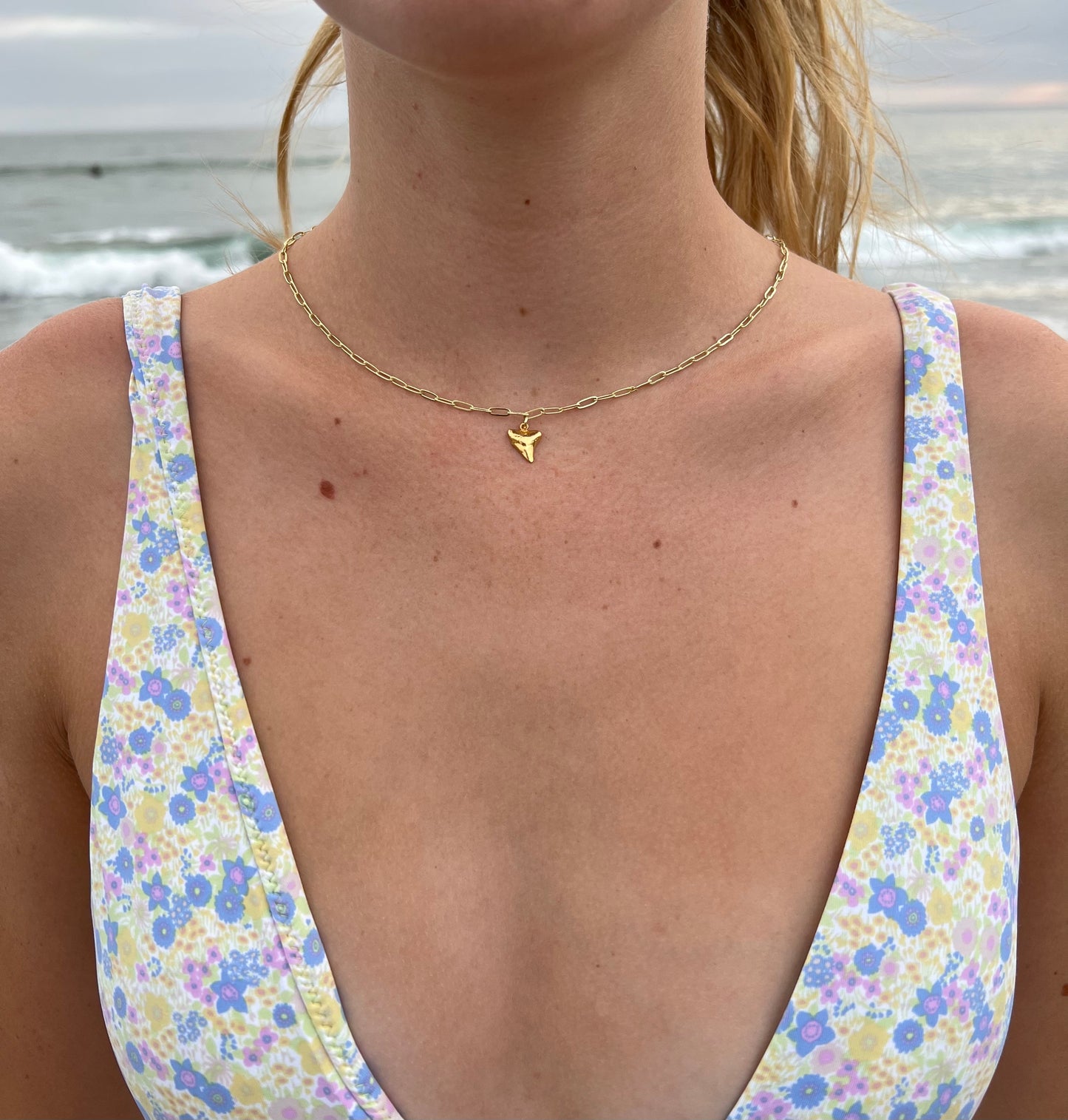 The Tiger Shark Tooth 18k Gold Plated Chain