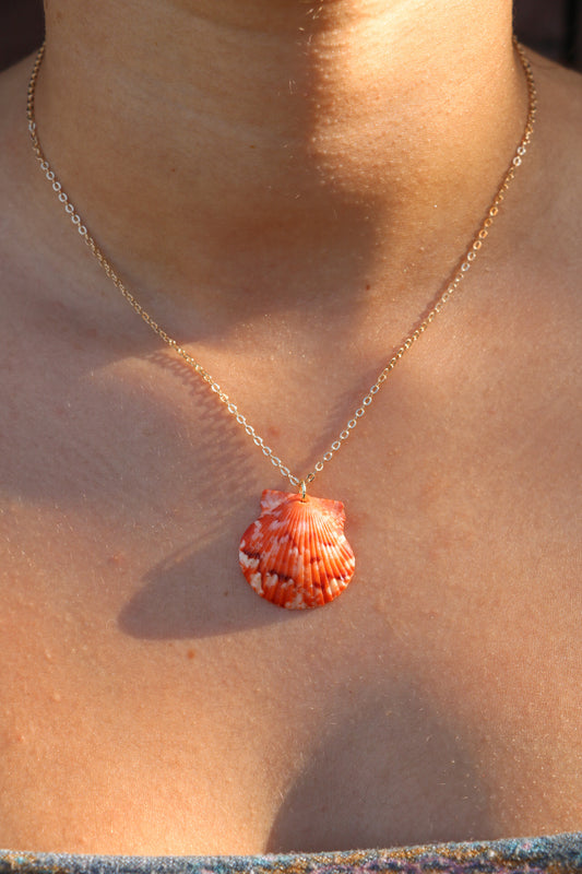 Orange Calico Shell Gold Necklace #1