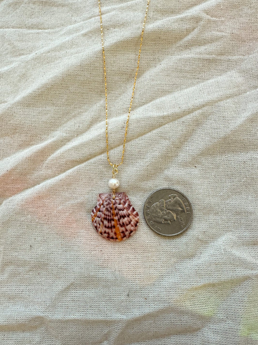RARE FIND Sun Rays Calico Shell Waikiki Necklace