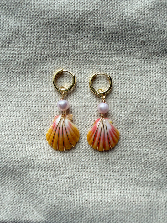 Gold Sunrise Shell Mini Hoops