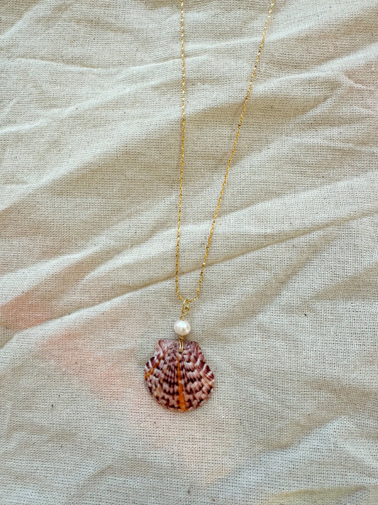RARE FIND Sun Rays Calico Shell Waikiki Necklace