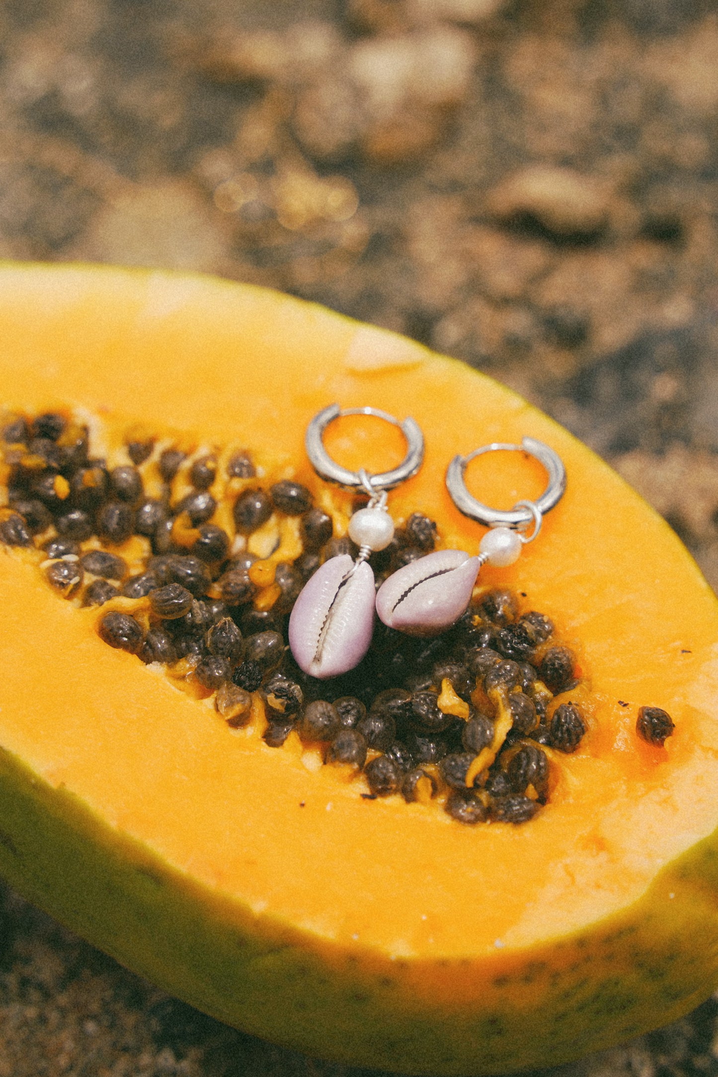 The Kaimana Lavender Cowrie Shell Silver Hoops