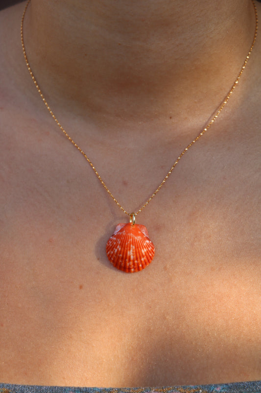 Orange Calico Shell Gold Necklace