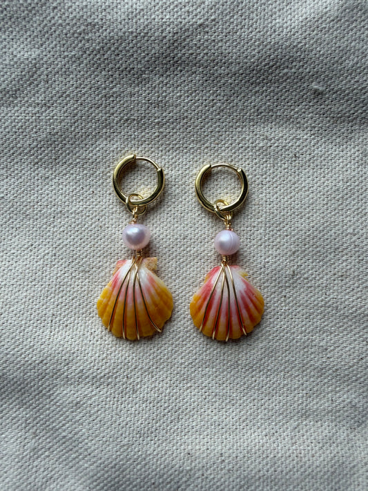 Gold Sunrise Shell Mini Hoops