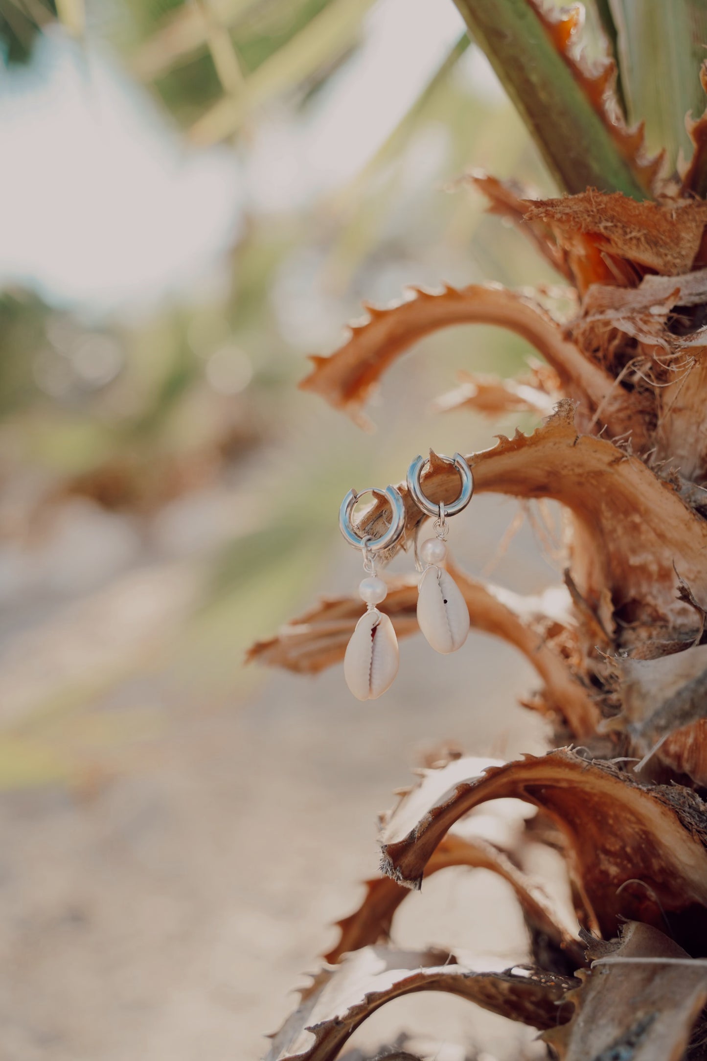 The Kaimana Silver Cowrie Shell Hoops