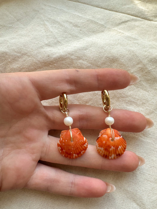 ONLY ONE AVAILABLE Orange Calico Shell Hoops