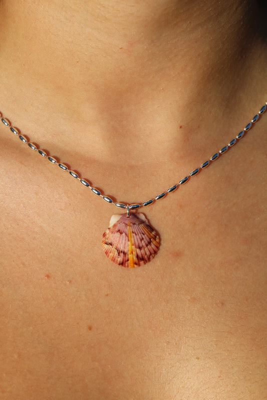 Sterling Silver Sun Rays Calico Shell Necklace