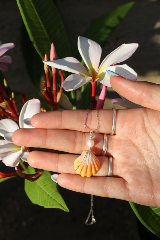 Silver Sunrise Shell Necklace