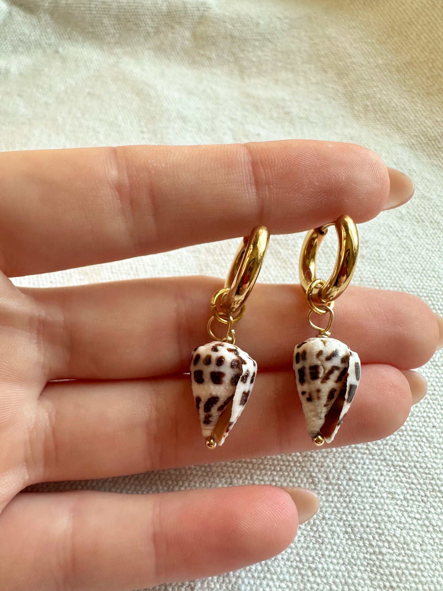 Baby Hebrew Shell Hoops