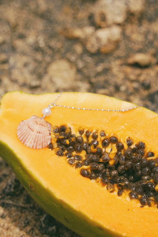 The Silver Waikiki Calico Shell Necklace