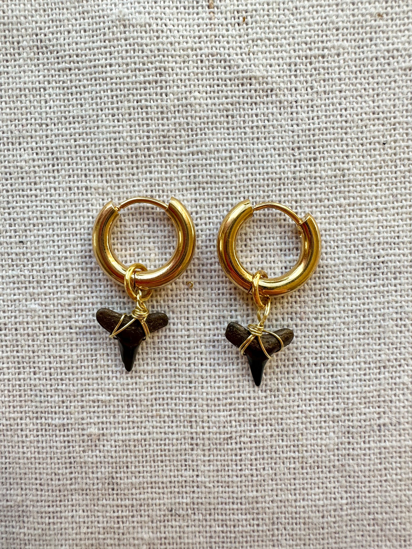 The Poipu Gold Shark Tooth Hoops