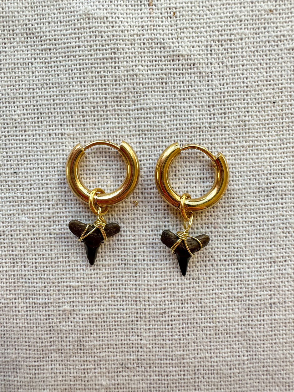 6MM  Shark Tooth Hoops