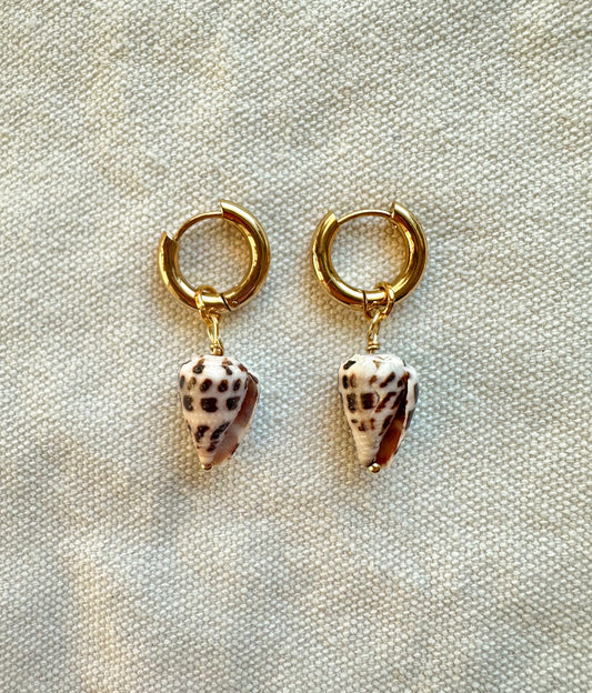 Baby Hebrew Shell Hoops