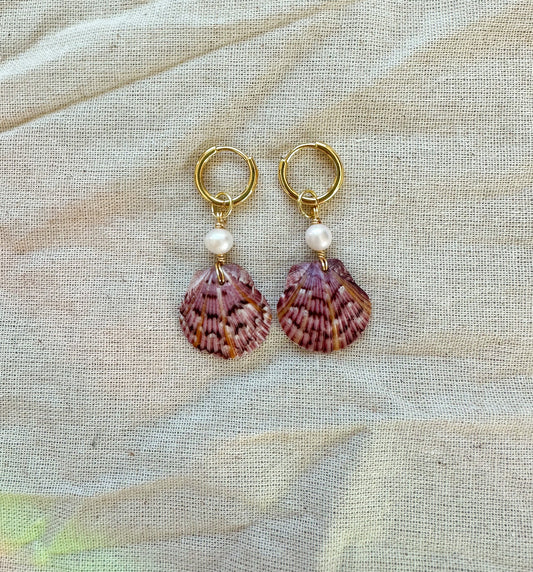 RARE FIND Sun Rays Calico Shell Hoops