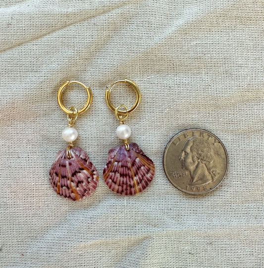 RARE FIND Sun Rays Calico Shell Hoops