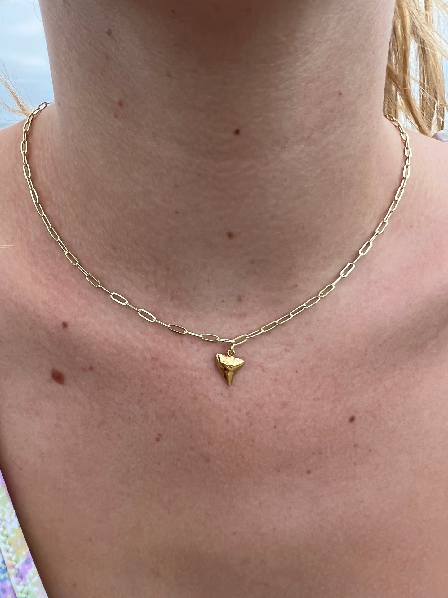 The Tiger Shark Tooth 18k Gold Plated Chain