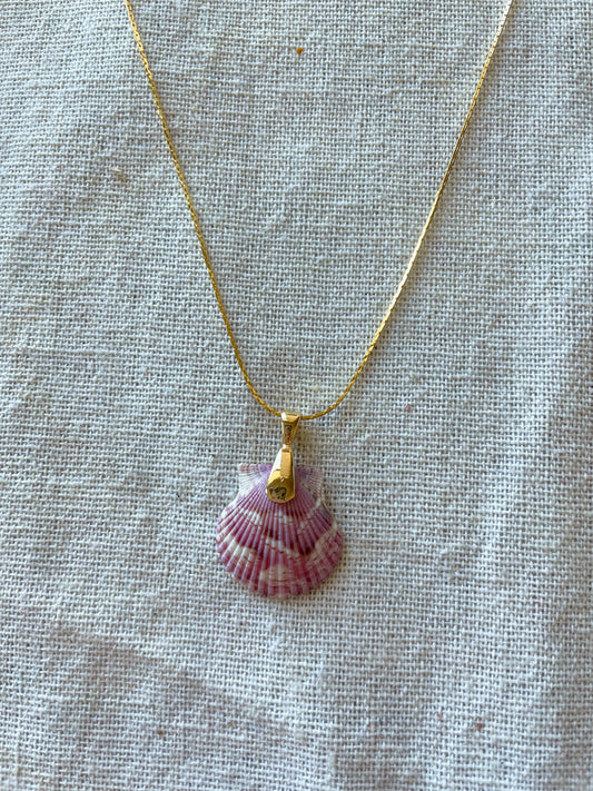 The Fiji Gold Calico Shell Necklace